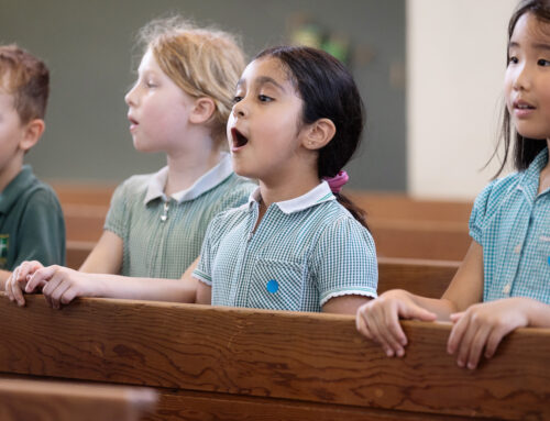 EchoSing project funding approved!