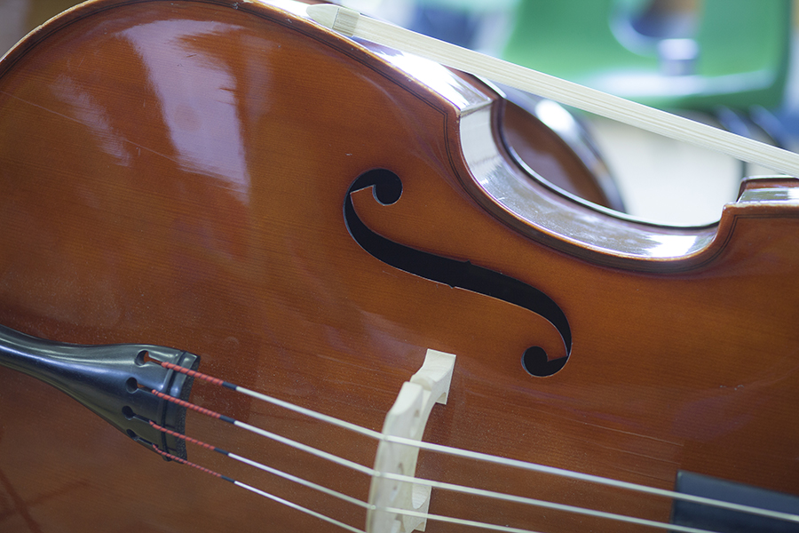 close up of a cello